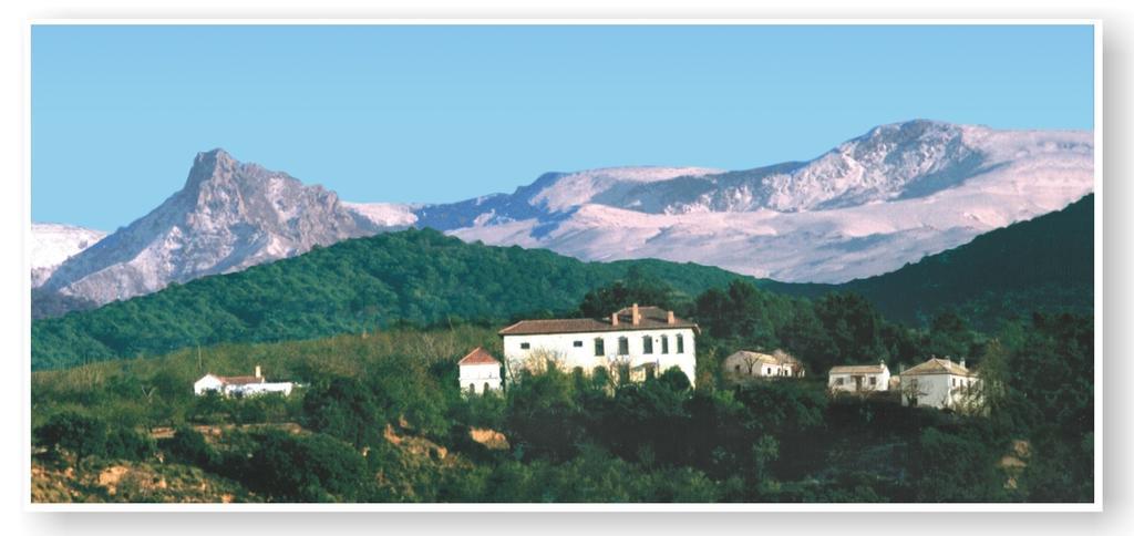 Cortijo Balzain Apartamento La Zubia (Granada)