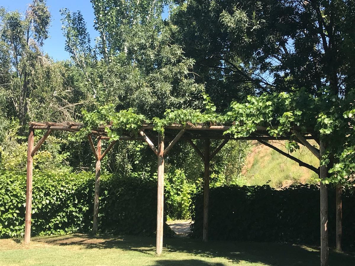 Cortijo Balzain Apartamento